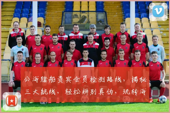 公海赌船贵宾会员检测路线，揭秘三大航线，轻松辨别真伪，玩转海上娱乐
